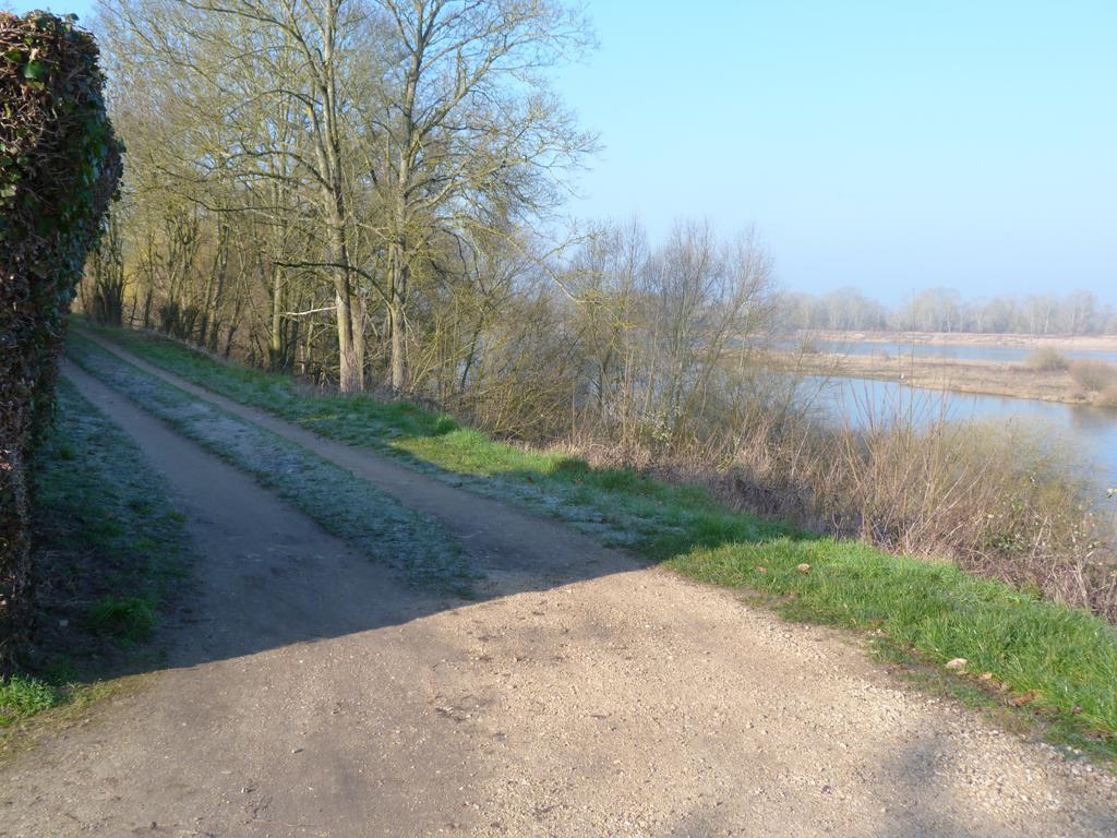 Les Gites De Colliers Muides-sur-Loire Pokoj fotografie