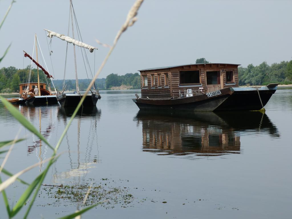 Les Gites De Colliers Muides-sur-Loire Exteriér fotografie